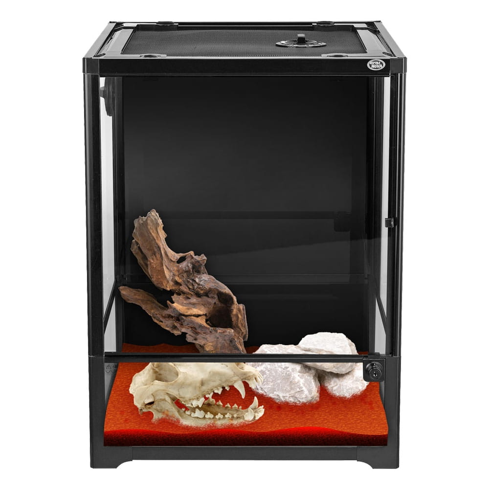 Terrarium 45x45x60cm Reptile Nova – Szklane, Zdejmowana Pokrywa, Metalowa Siatka Wentylacyjna